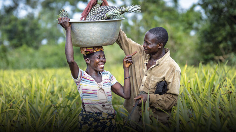 Face au changement climatique, le Bénin met en place l’assurance agricole indicielle pour soulager ses agriculteurs