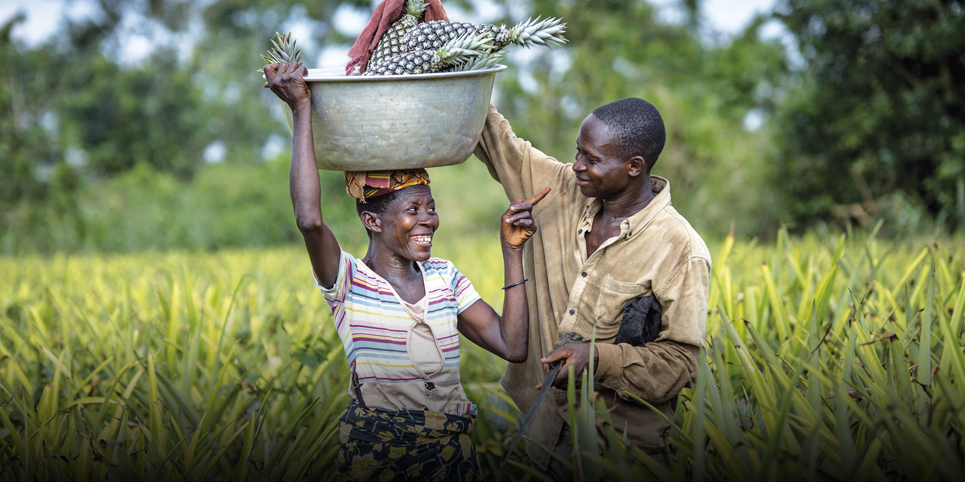 Face au changement climatique, le Bénin met en place l’assurance agricole indicielle pour soulager ses agriculteurs